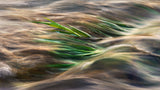 flood Poster och Canvastavla