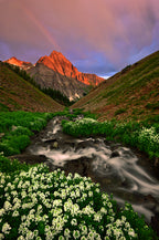 Rainbow over Dallas Peak Poster och Canvastavla