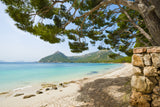 Beach Vacation Poster och Canvastavla