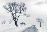 Up the hill Poster och Canvastavla