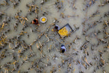 Flood water has damaged crops Poster och Canvastavla