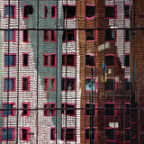 the trapped illusion Poster och Canvastavla