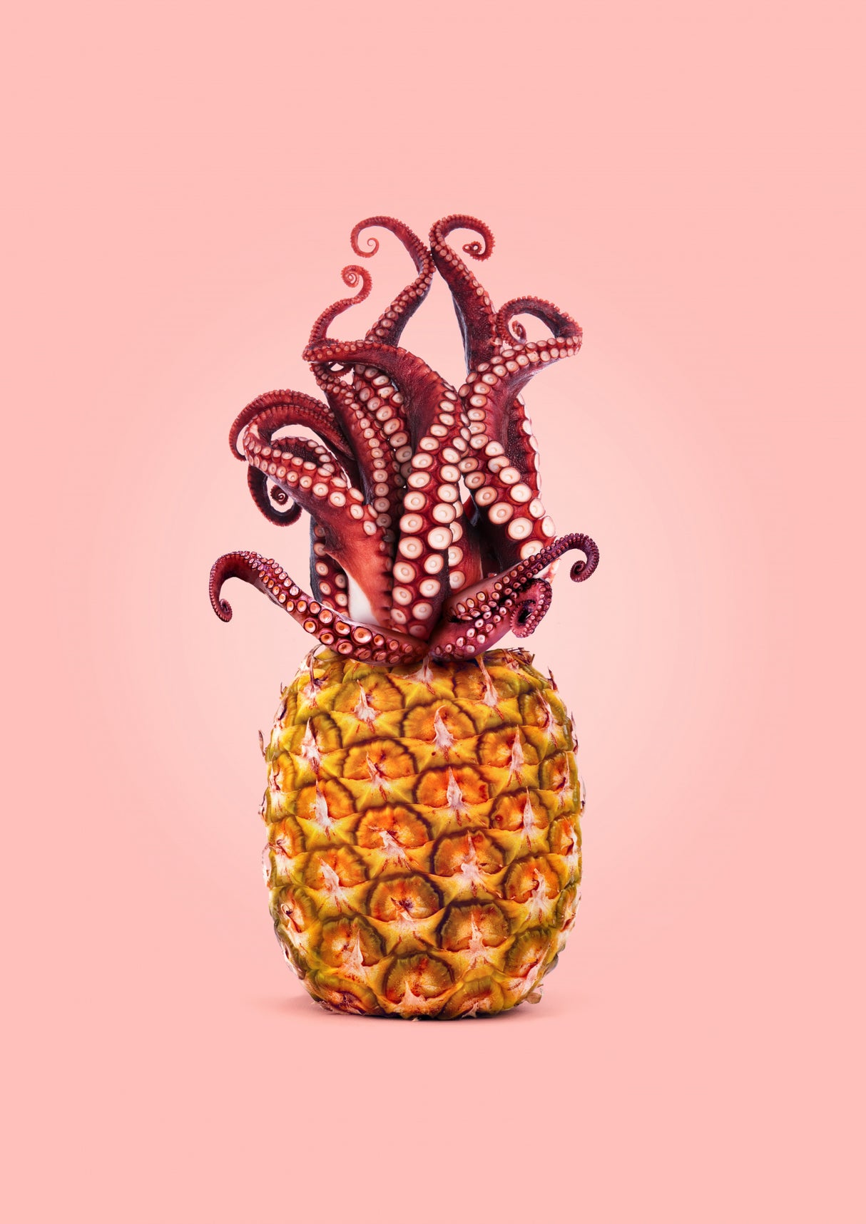 Octopus Pineapple Poster och Canvastavla