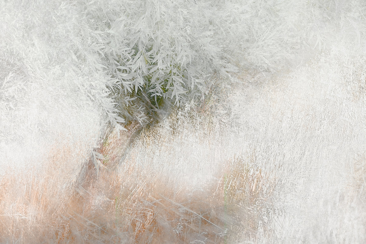 Soft and gentle Poster och Canvastavla