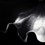 a kiss of light Poster och Canvastavla