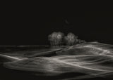 Silent Fields Poster och Canvastavla