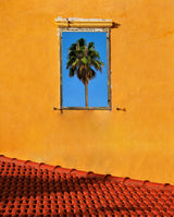 Urban texture - Tel Aviv Jaffa Poster och Canvastavla