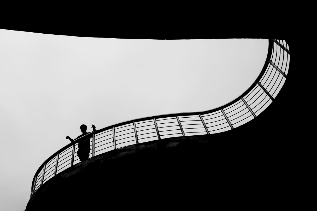 On The Bridge Poster och Canvastavla
