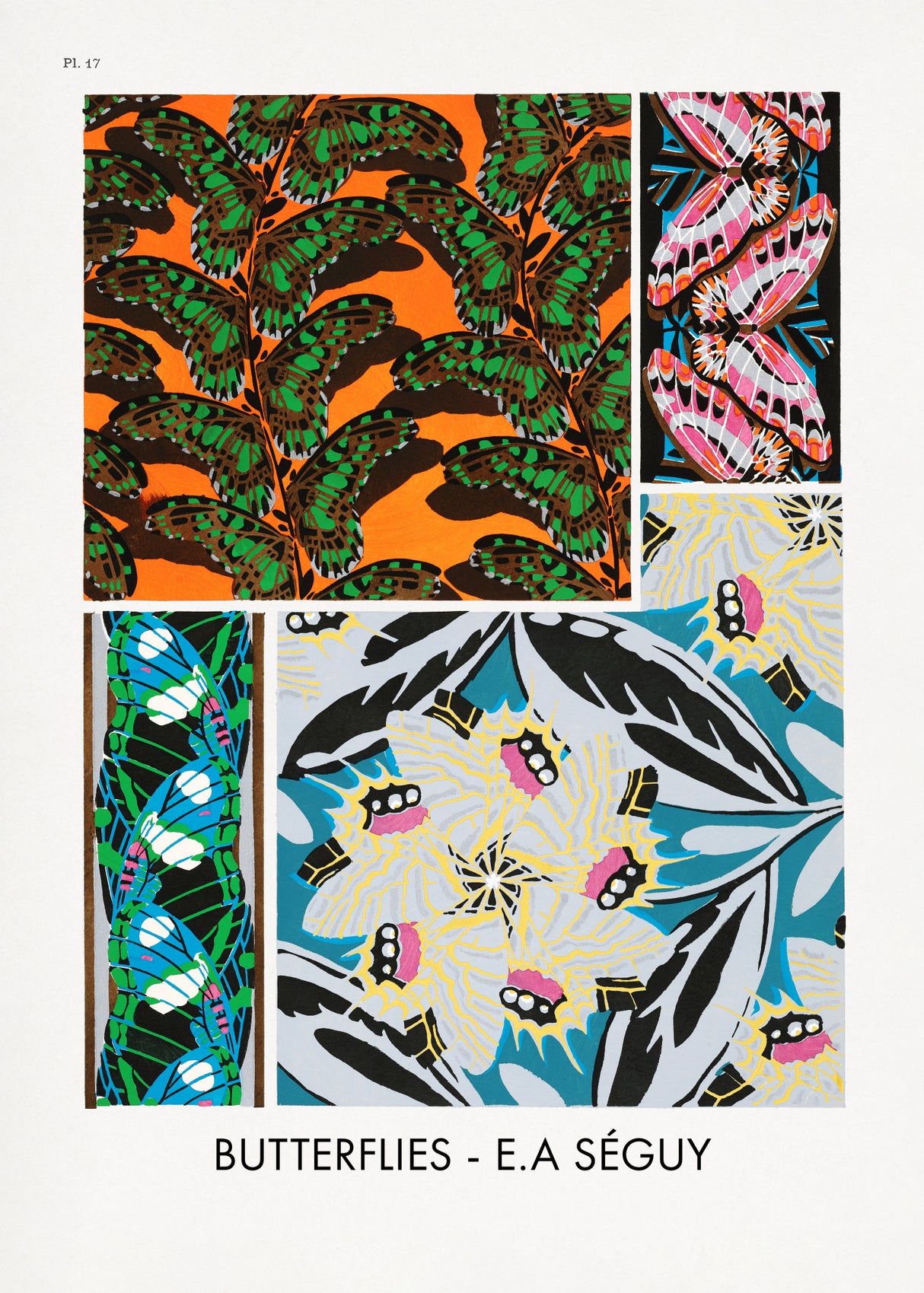 Butterflies 17 Poster och Canvastavla