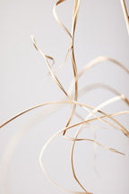 Dried Grass Grey 02 Poster och Canvastavla