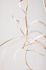 Dried Grass Grey 02 Poster och Canvastavla