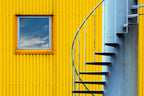 blue and yellow Poster och Canvastavla