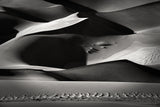 Shadowland Poster och Canvastavla