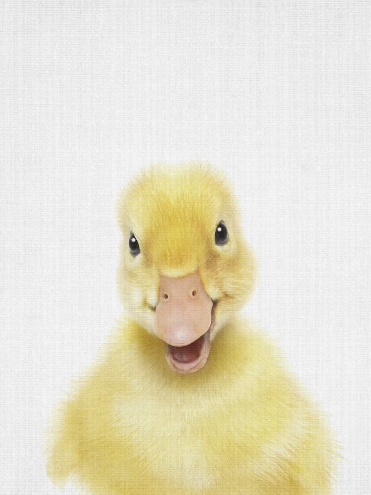 Peekaboo Baby Duck Poster och Canvastavla