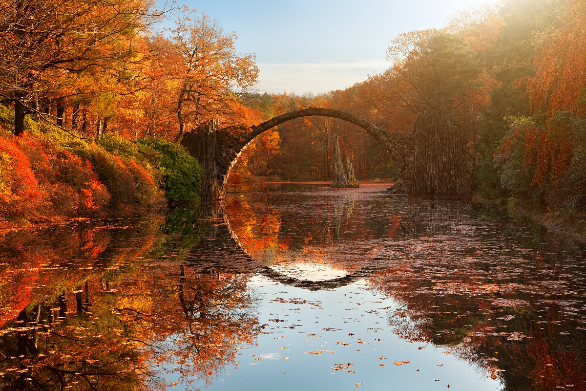 Autumn lake Poster och Canvastavla