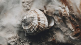 Beach Impressions No 40 Poster och Canvastavla