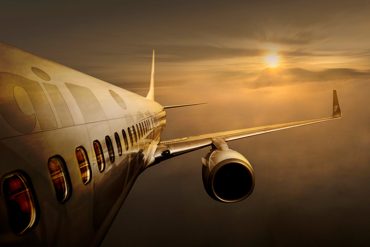 Golden flight Poster och Canvastavla