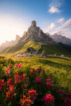 Passo giau summer Poster och Canvastavla