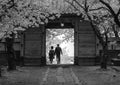 Through the gate. Poster och Canvastavla