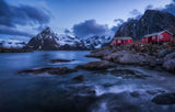 Calm Morning in Hamnoy Poster och Canvastavla