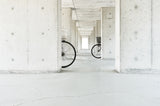 white basket,black basket Poster och Canvastavla