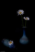 Flower in a Vase Poster och Canvastavla