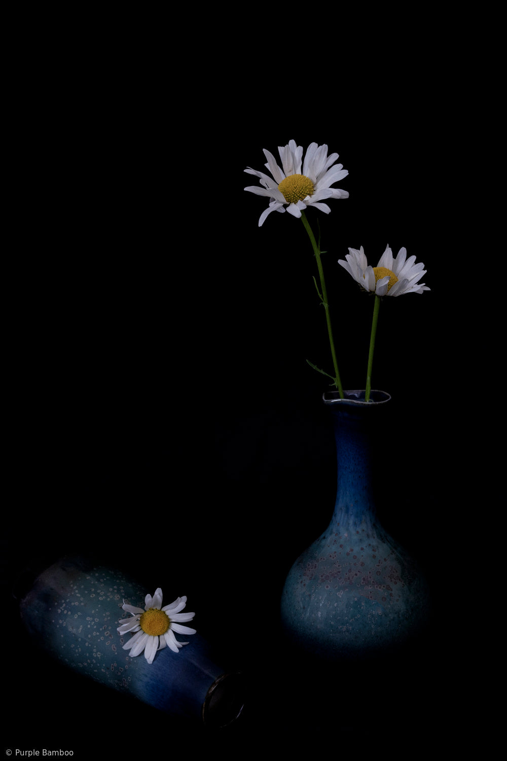 Flower in a Vase Poster och Canvastavla