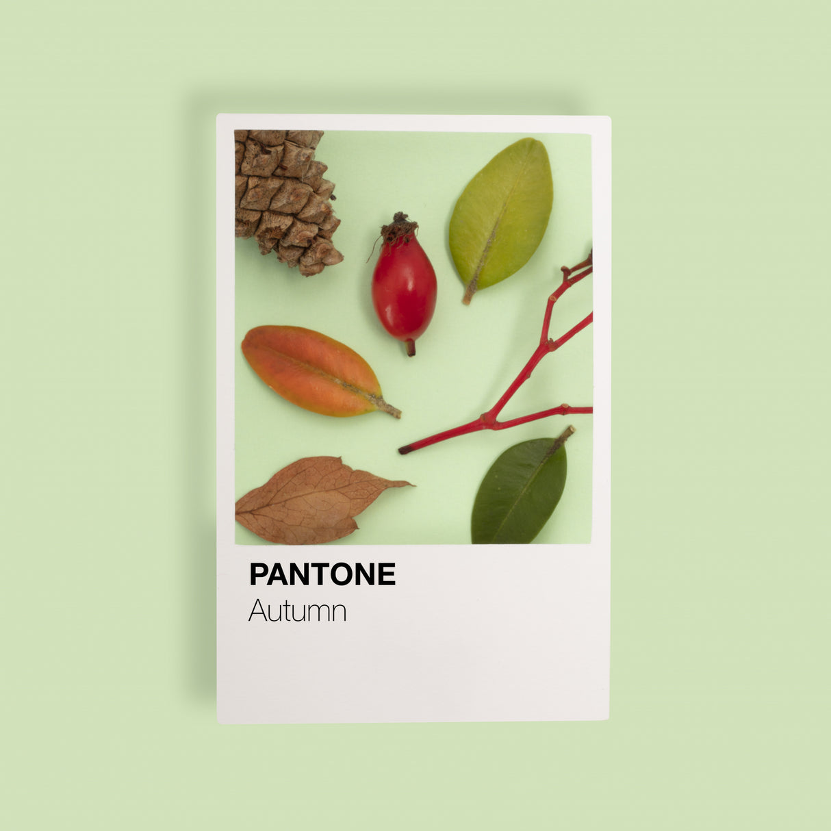 Autumn Poster och Canvastavla