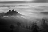 Tuscany fog Poster och Canvastavla