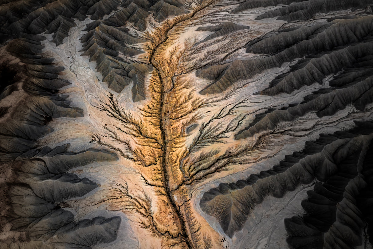 Magic Land -- an Aerial Abstract Poster och Canvastavla