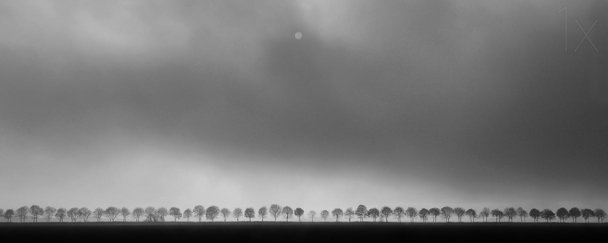Polderlandscape Poster och Canvastavla