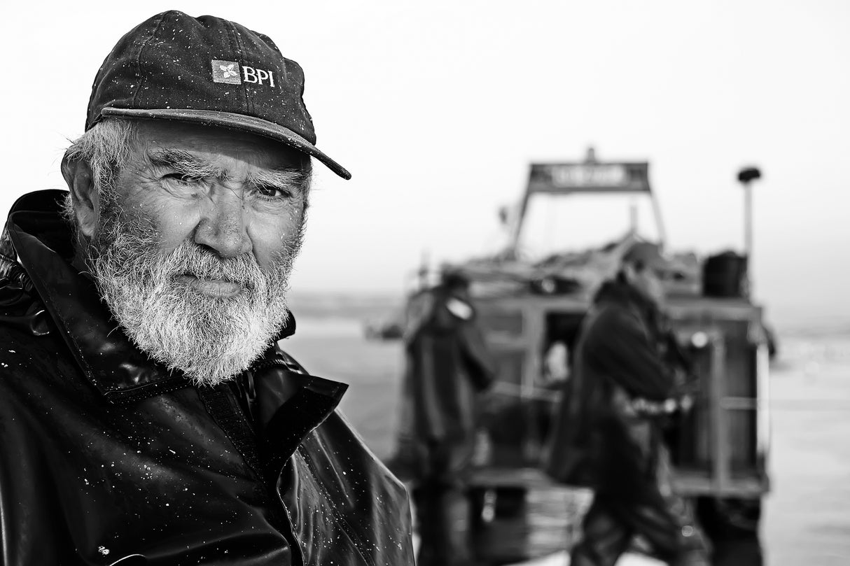 sea heroes VIII Poster och Canvastavla