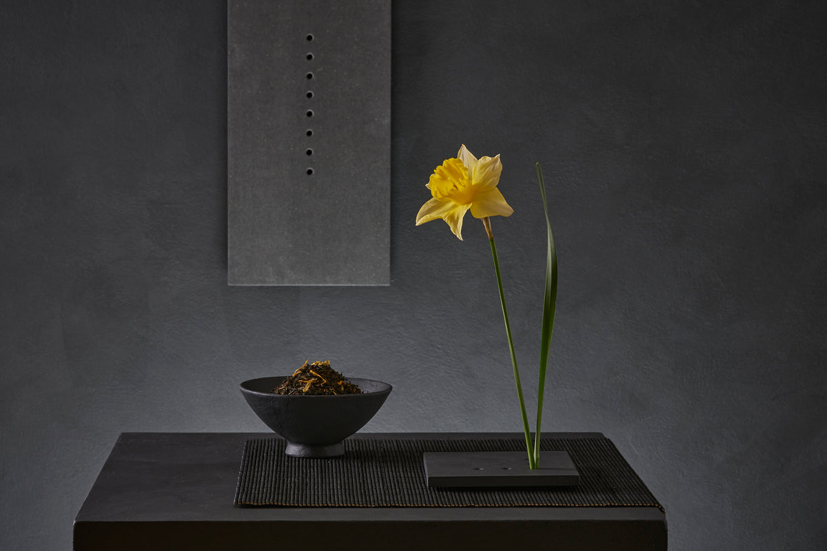 Narcissus Jonquilla Poster och Canvastavla
