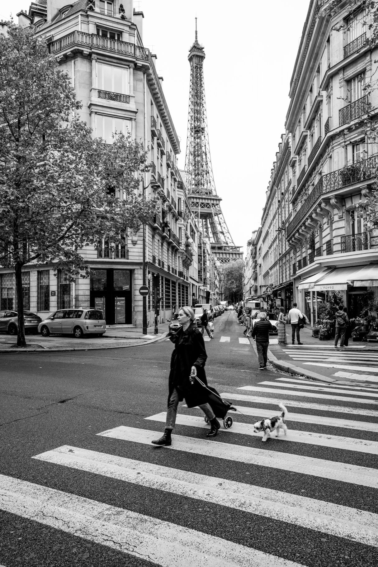 Walking the dog Poster och Canvastavla
