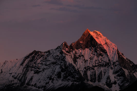 Machhapuchhare. Nepal. Annapurnas. Poster och Canvastavla