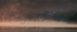 Misty Lake #8 Poster och Canvastavla