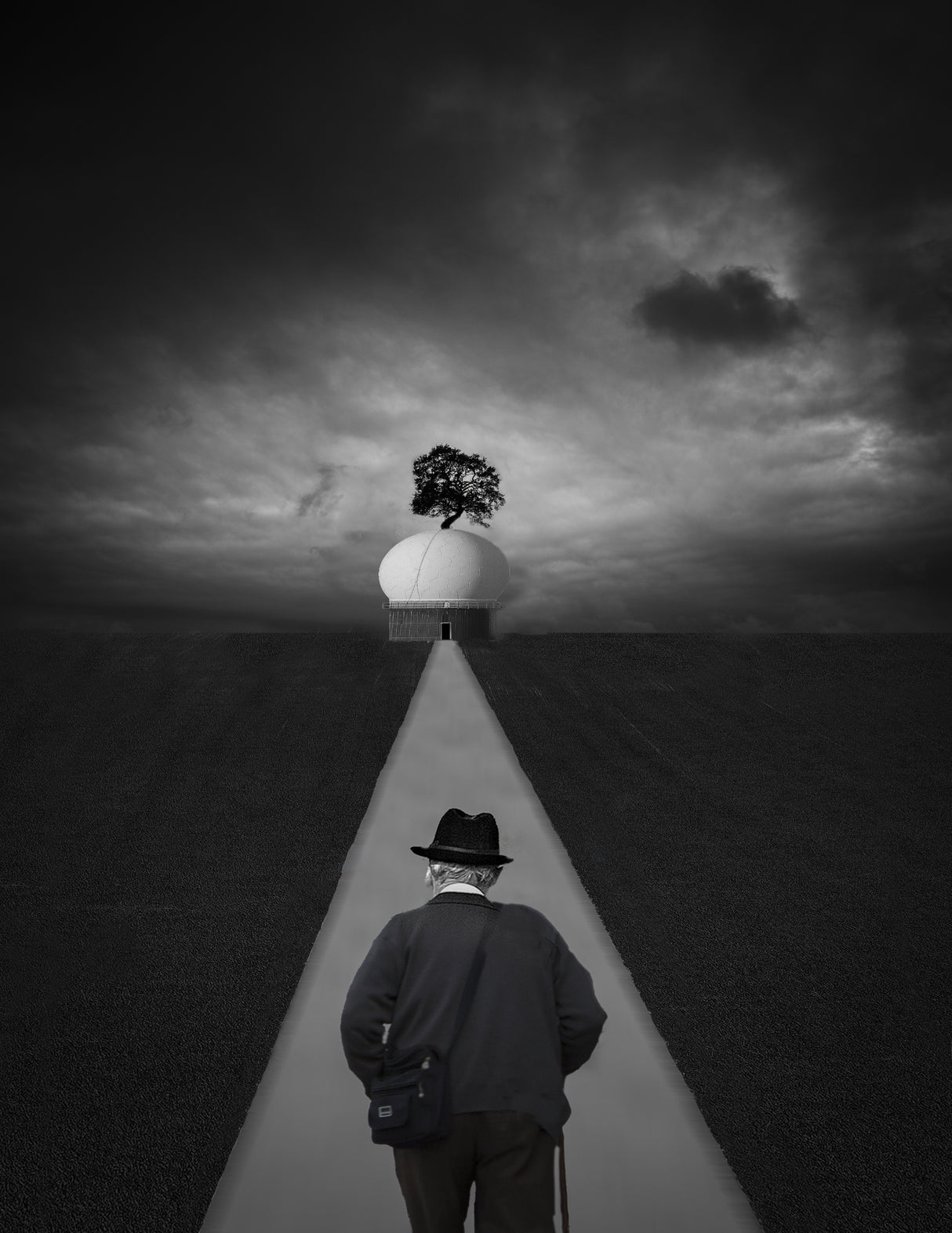The straight path Poster och Canvastavla