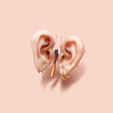 Butterfly Ears Poster och Canvastavla