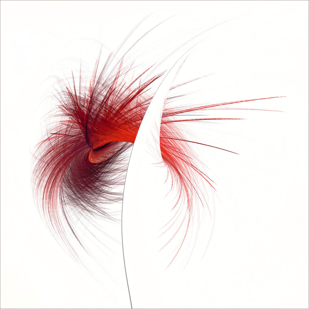 Wild Split Poster och Canvastavla
