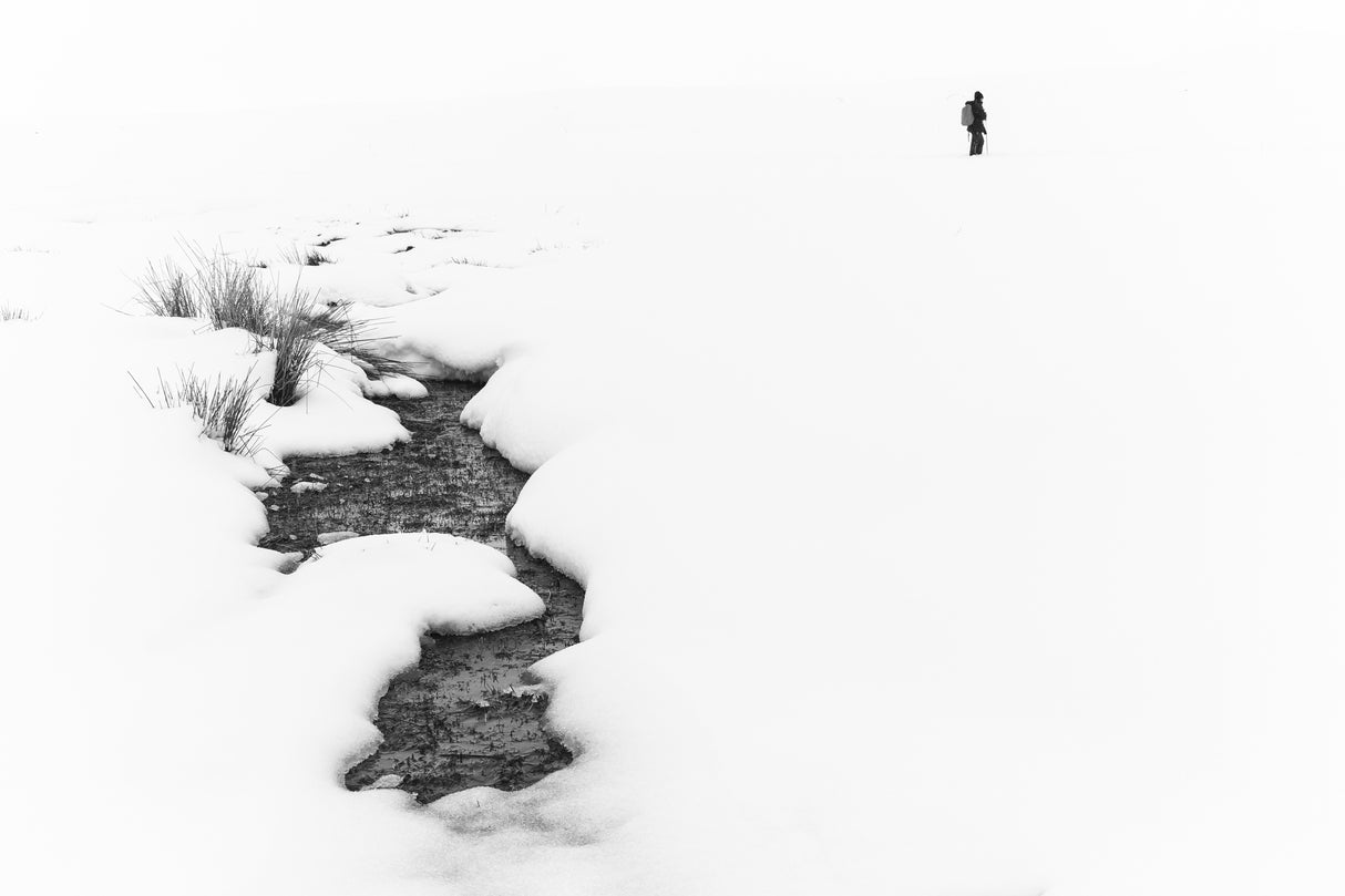 The man in snow Poster och Canvastavla
