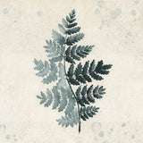 Teal watercolor fern 2 Poster och Canvastavla