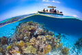 A weekend in Mayotte Poster och Canvastavla
