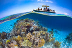 A weekend in Mayotte Poster och Canvastavla