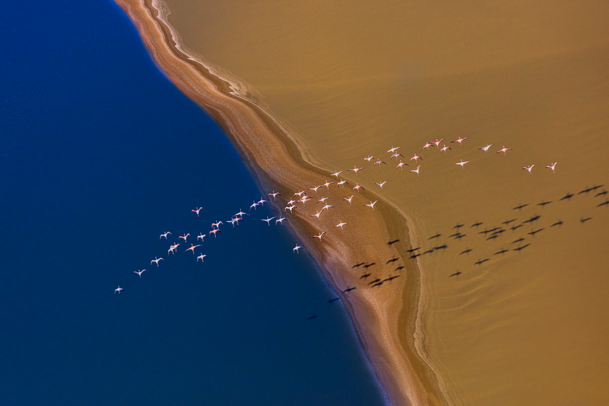 Flying Over Poster och Canvastavla