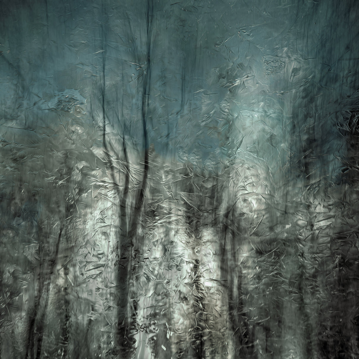 frozen frost wood Poster och Canvastavla