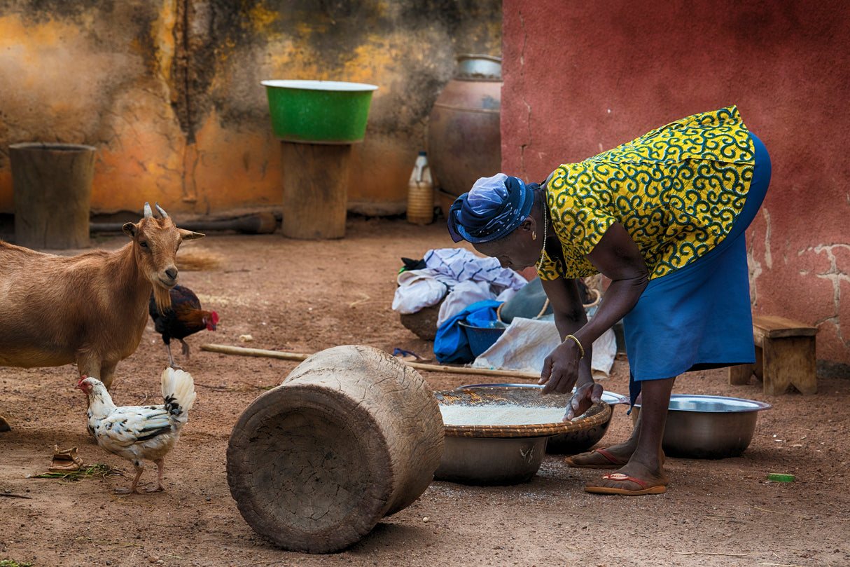 The work in Africa is woman. Poster och Canvastavla