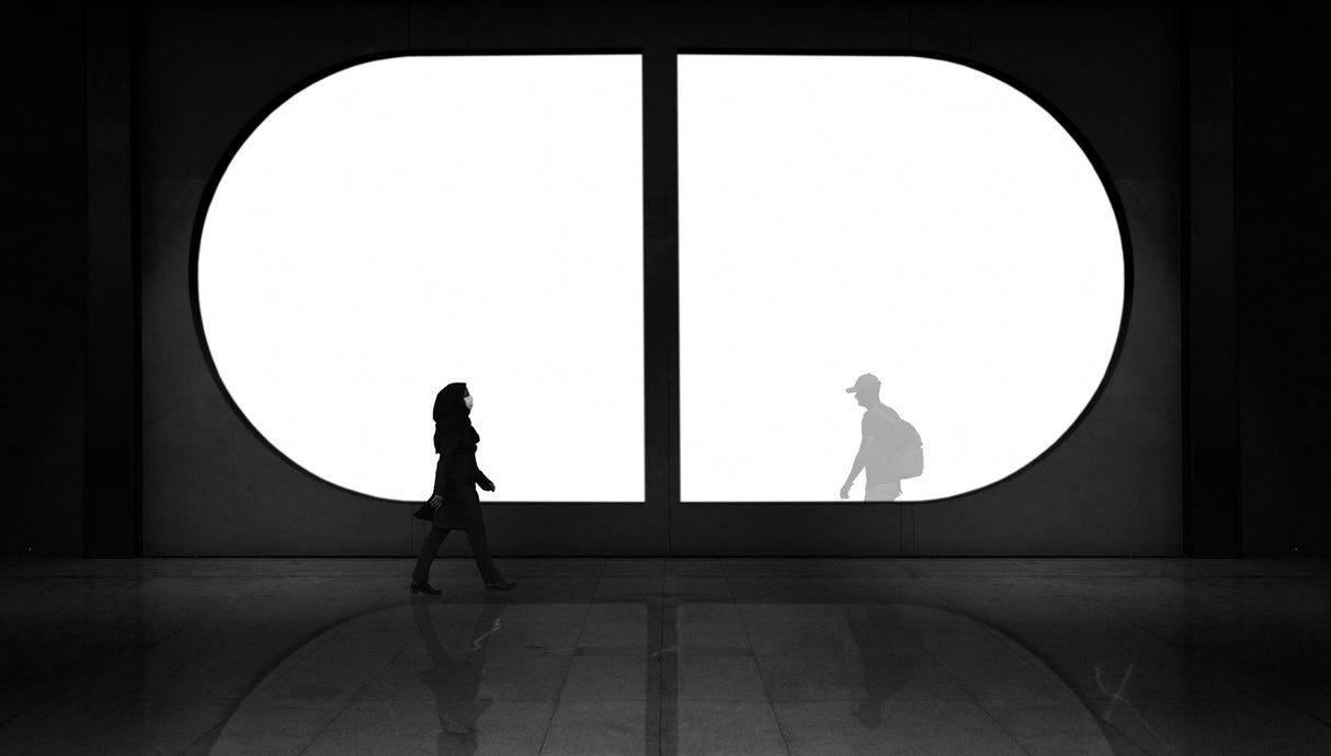 the visible and invisible Poster och Canvastavla