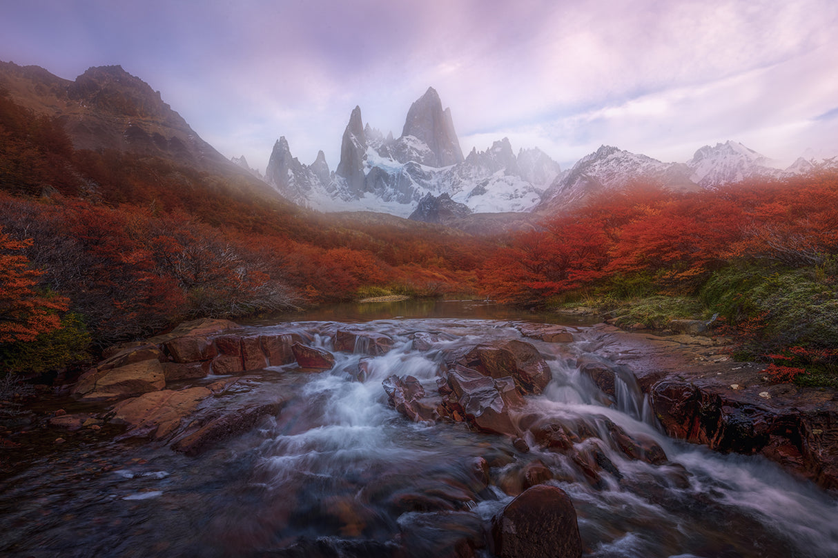 Fitz Roy in Fall Poster och Canvastavla