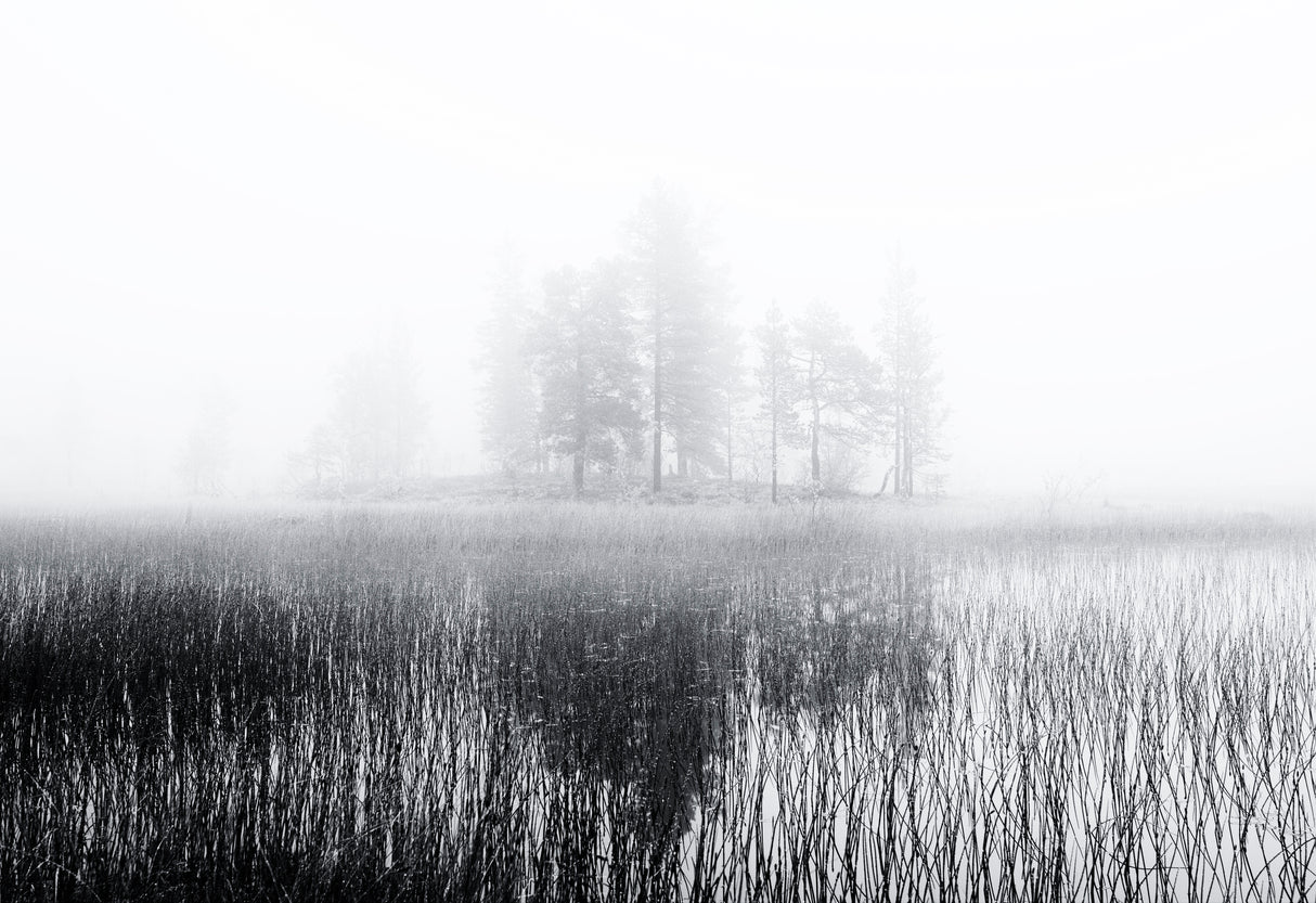 Deep bog Poster och Canvastavla