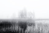 Deep bog Poster och Canvastavla